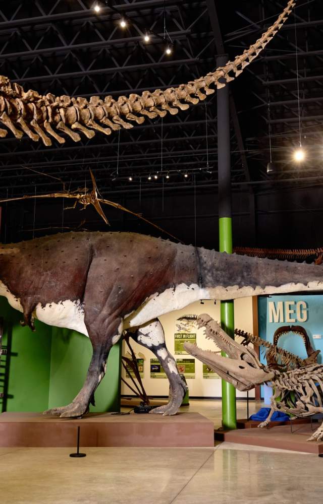 Indiana Dinosaur Museum 1