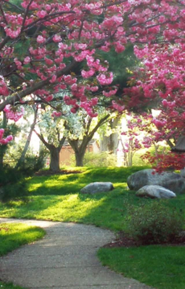 Shiojiri Niwa Japanese Gardens