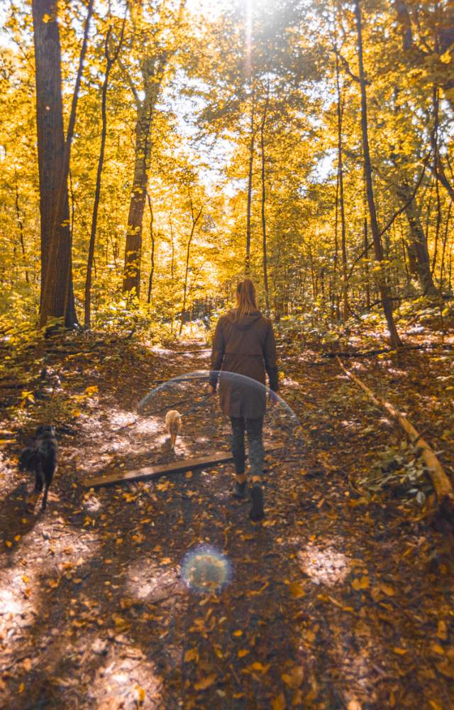 A visitor walks her dogs on a trail at Rum Village Nature Preserve