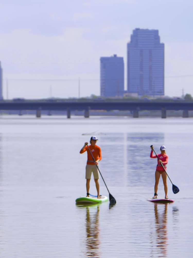 Stand up paddling towards downtown on the Grand River.