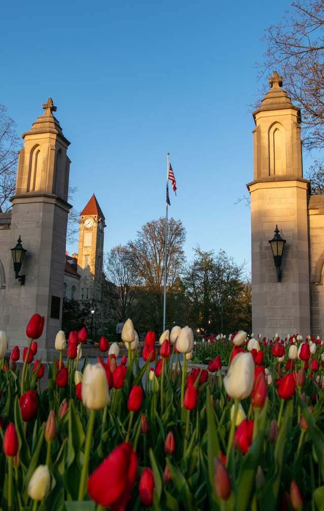 sample gates spring