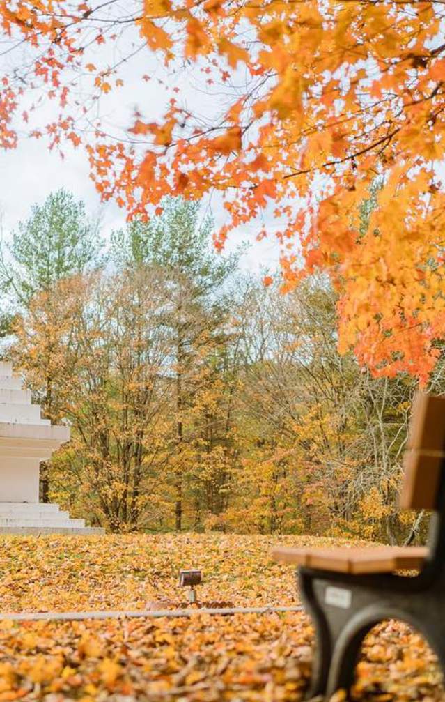 TMBCC during fall