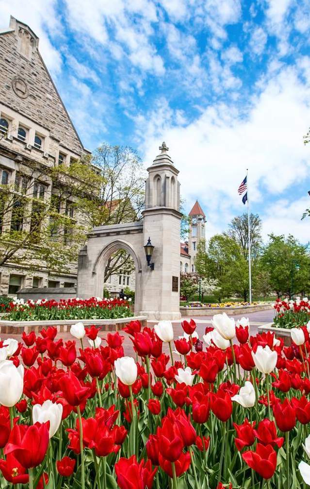 Sample Gates during spring with tulips