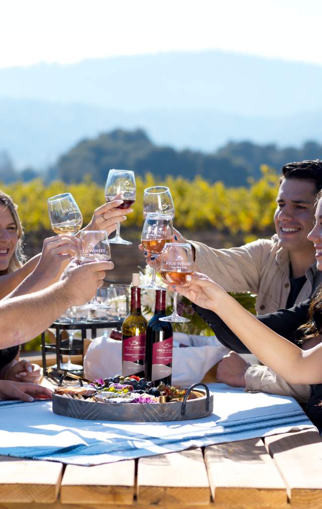 Good Ties at Solis Vineyards!