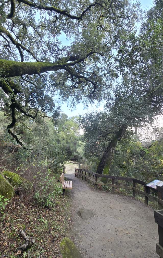 Wooded trail with wooden fence and interpretive panels at Chitactac-Adams Heritage County Park