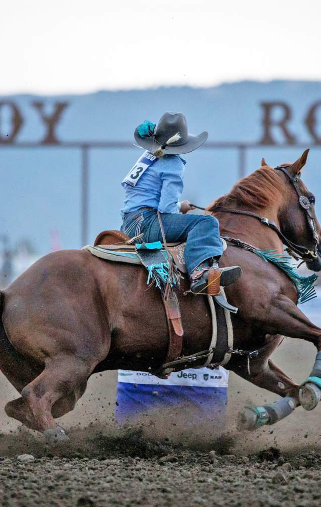 Gilroy Rodeo