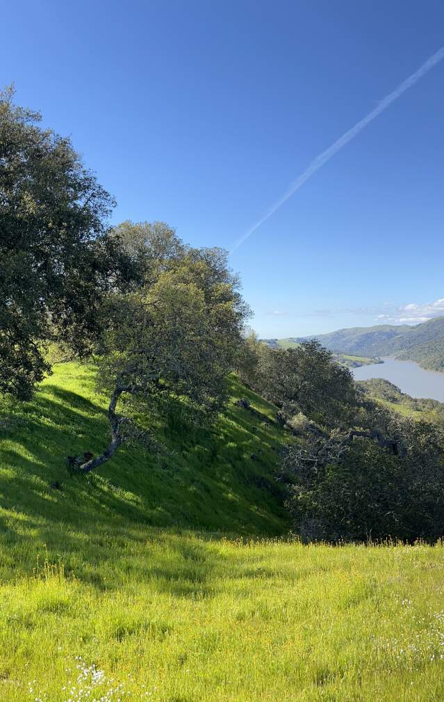 Green hills, trees and a lake below