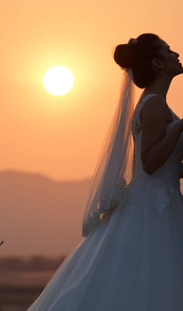 Surprising Shifts, New Trends Highlight 2024 Weddings Industry