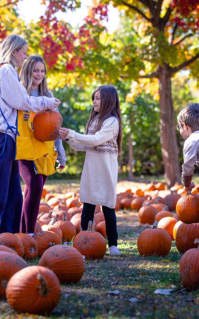 Fall Fest