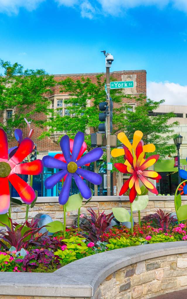 Summer Elmhurst