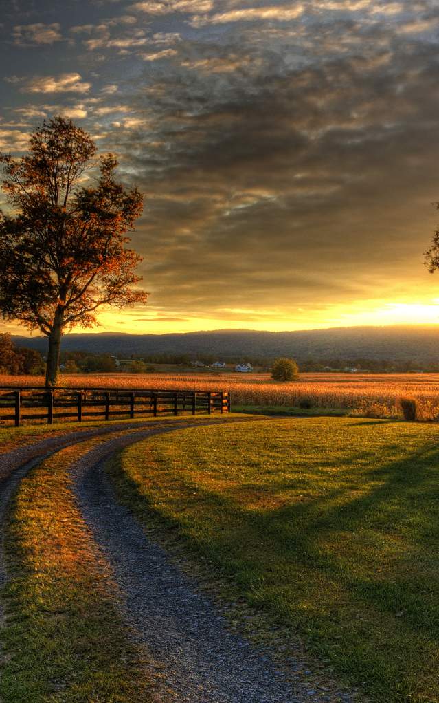Gravel Road
