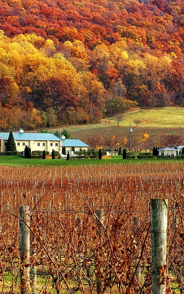 Breaux Fall Vineyard