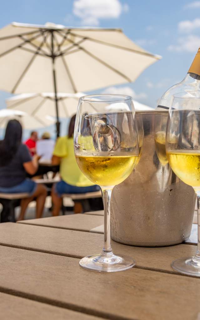 Winery in summer
