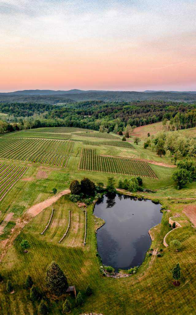 Loudoun's Award-Winning Wineries