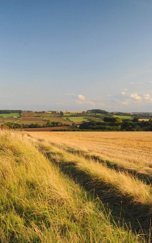 A landscape of fields in Lincolnshire with a hay bale in the foreground under blue skies