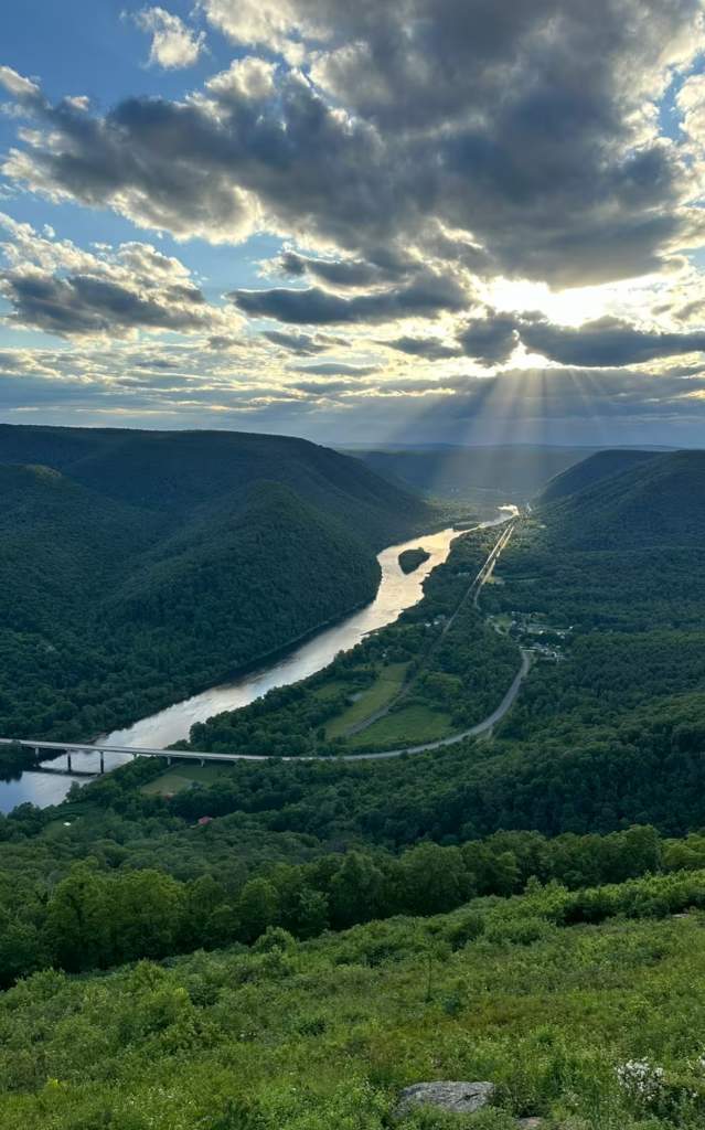 Hyner View Summer