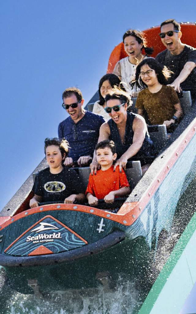 Family on rollercoaster on downward slope