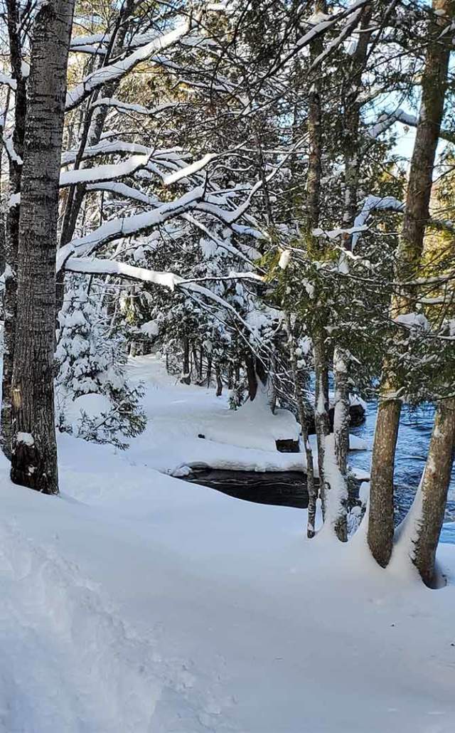 Snowshoeing on a trail in the Upper Peninsula of Michigan