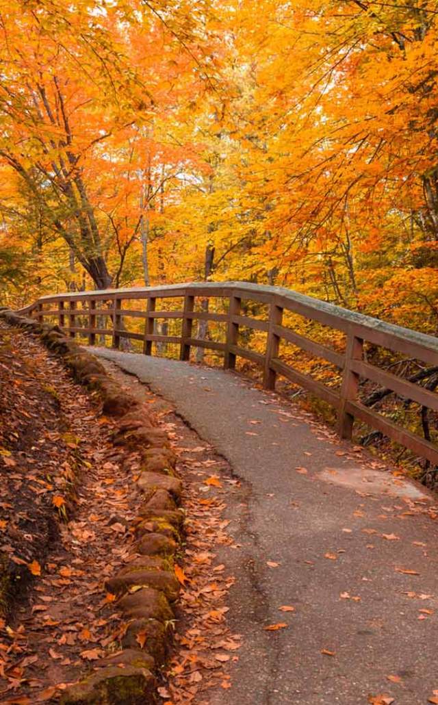 Footbridge during fall color in the Upper Peninsula, Michigan.
