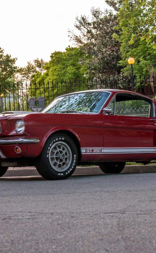 Shelbyfest
