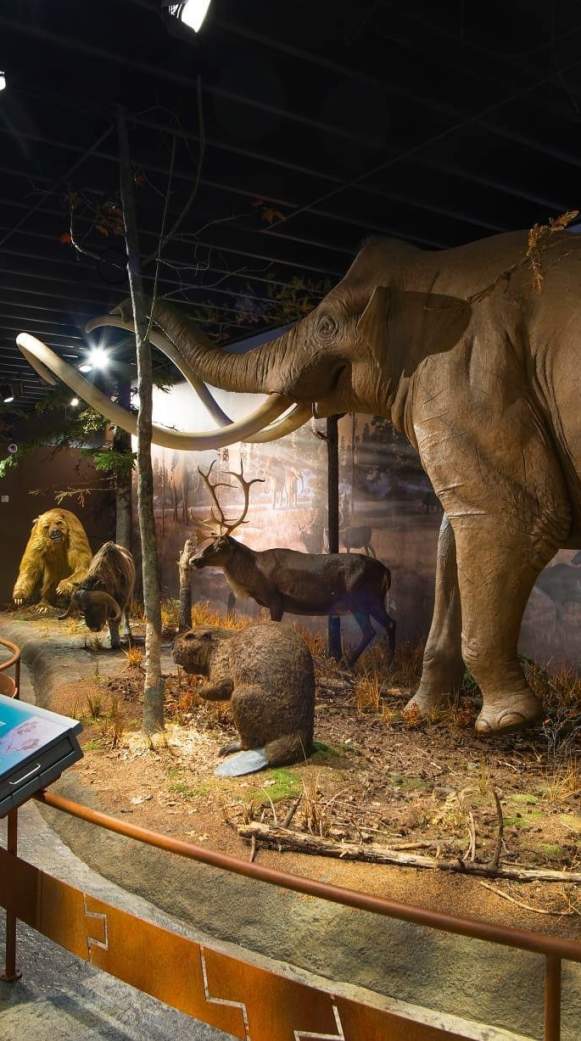 11 Indoor Activities & Hidden Gems to Add to Your Family’s Bucket List in York County