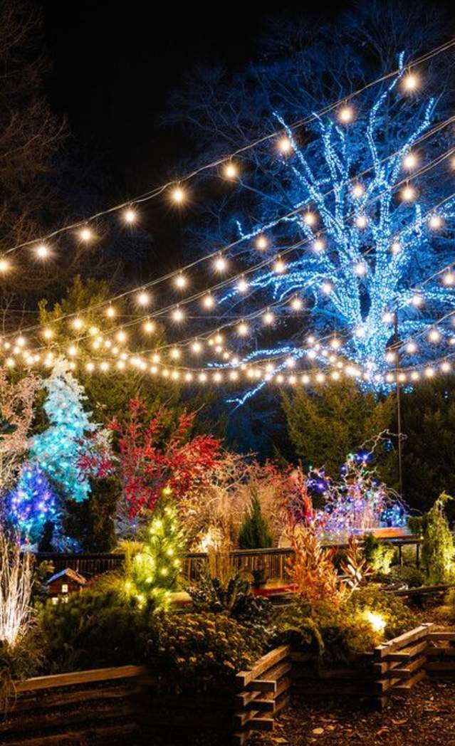 Step into a Retro Wonderland: A Longwood Christmas Unveiled