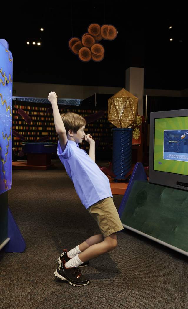 Delaware Museum of Natural History Undergoes Major Renovation in 2021