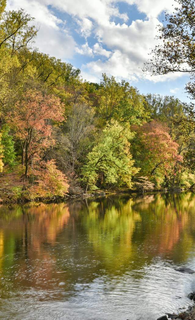 11 Spectacular Places to See Fall Foliage in Wilmington and the Brandywine Valley