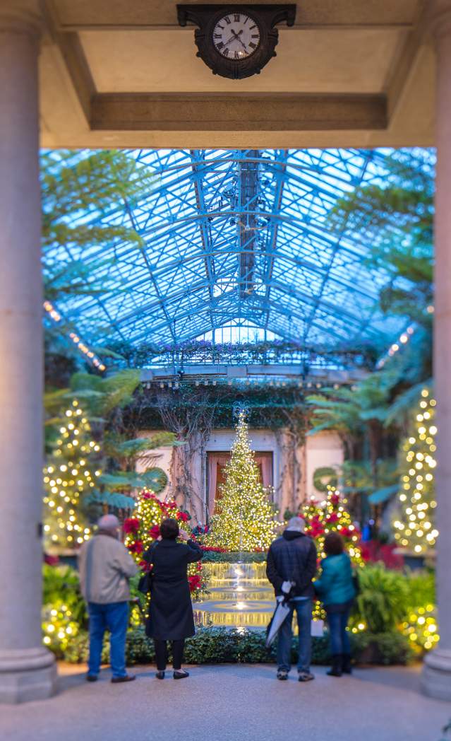 A Longwood Christmas