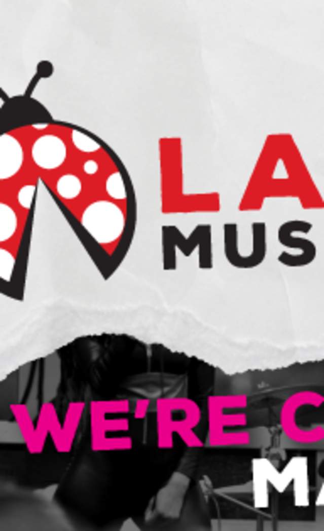 The Ladybug Music Festival