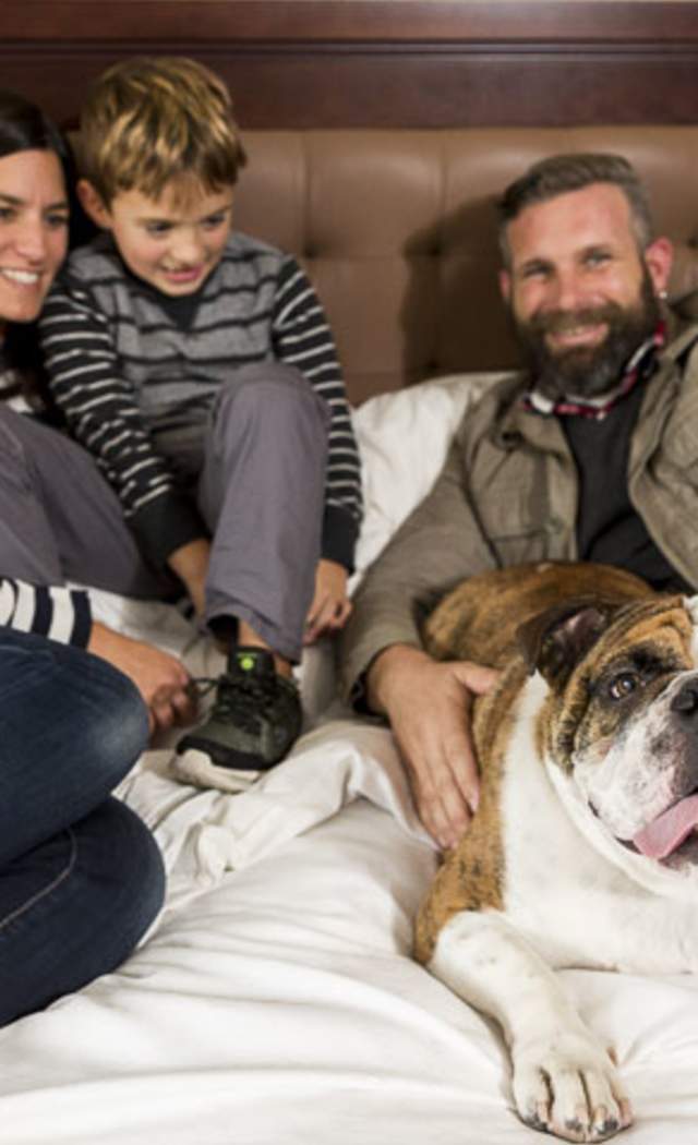 Pet Friendly Hotel