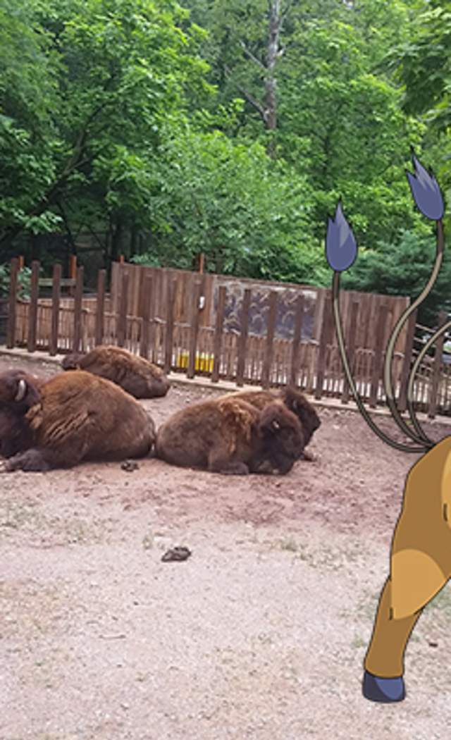 PokeMontco: Catch Em' All at the Elmwood Park Zoo!