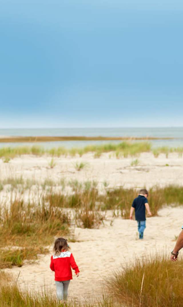 Cape Cod National Seashore