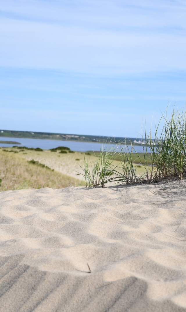 Riding Along with Art's Dune Tours