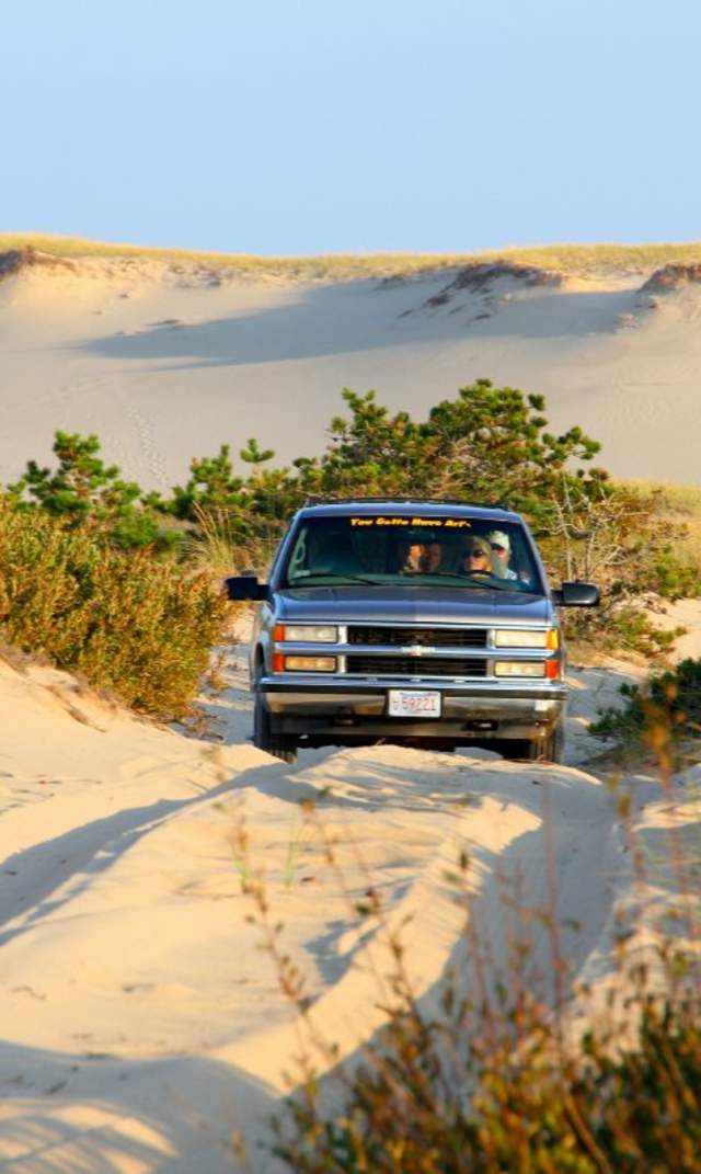 Art's Dune Tours