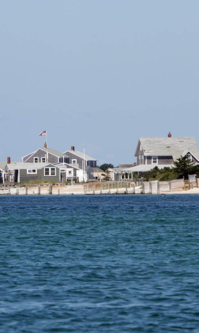 Barnstable Harbor Eco-Tour