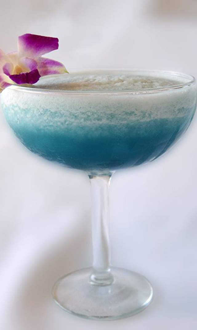 Frozen Blue Hydrangerita