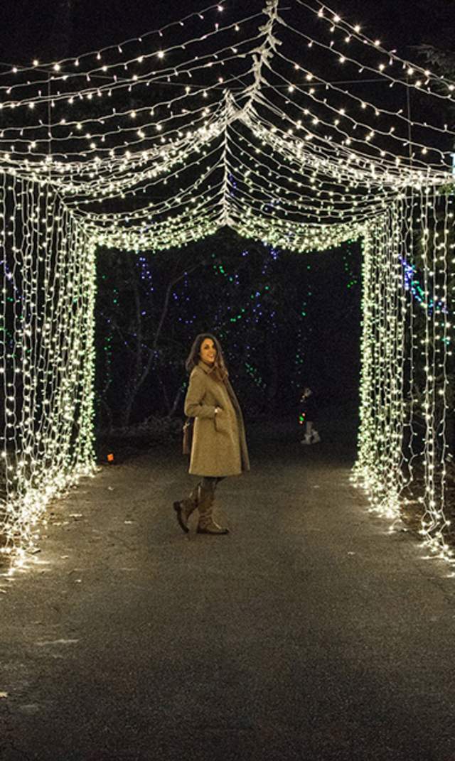 Gardens Aglow 2