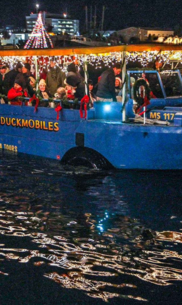 Hyannis Boat Parade