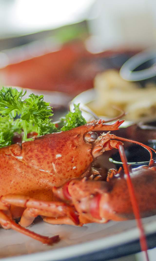 Where to Get Your Seafood Fix on Cape Cod