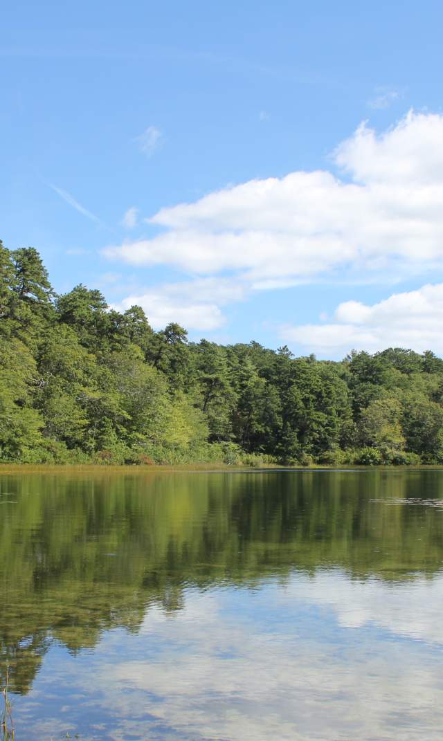 Nickerson State Park, 6A in Brewster