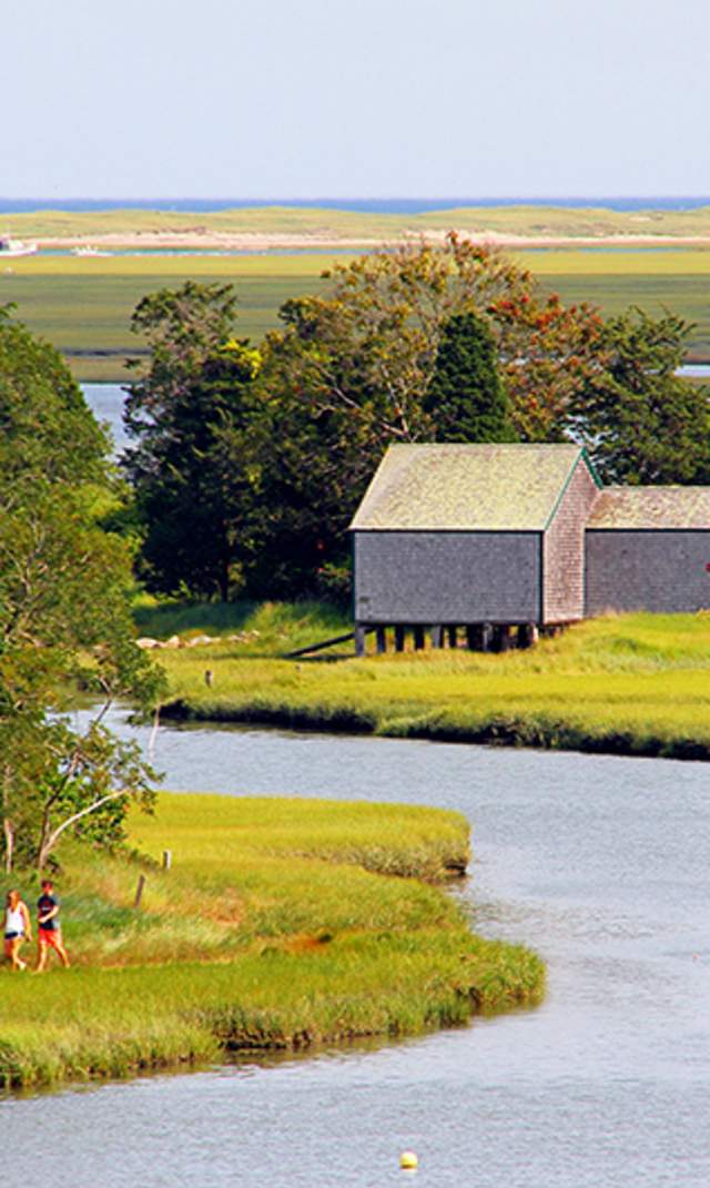 Nauset Marsh Trail