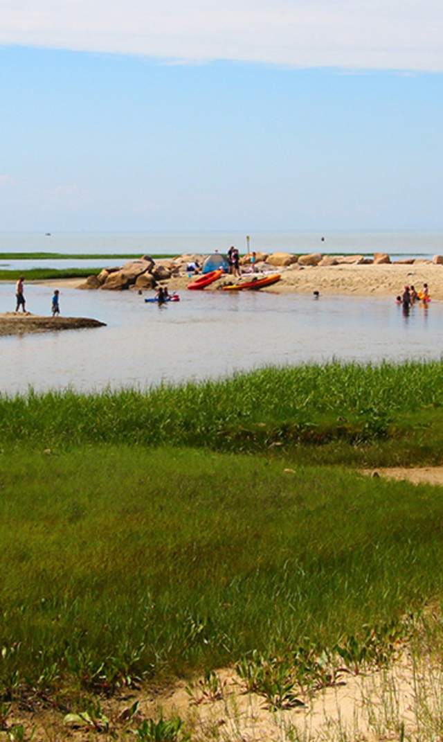 Cape Cod's Best Family Beaches