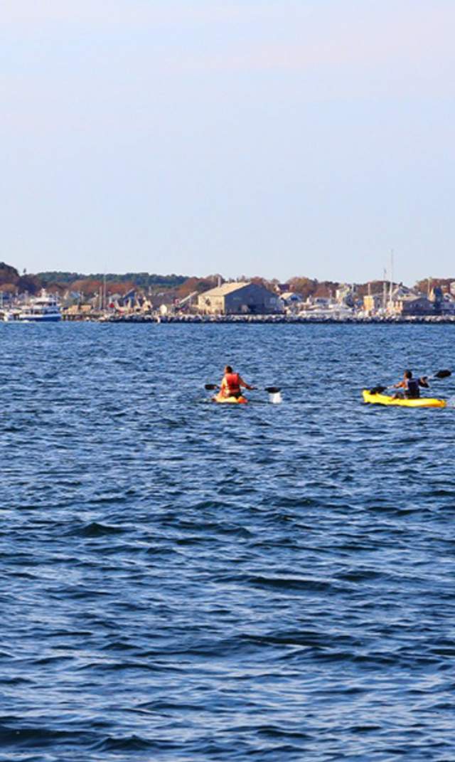 Provincetown Kayak