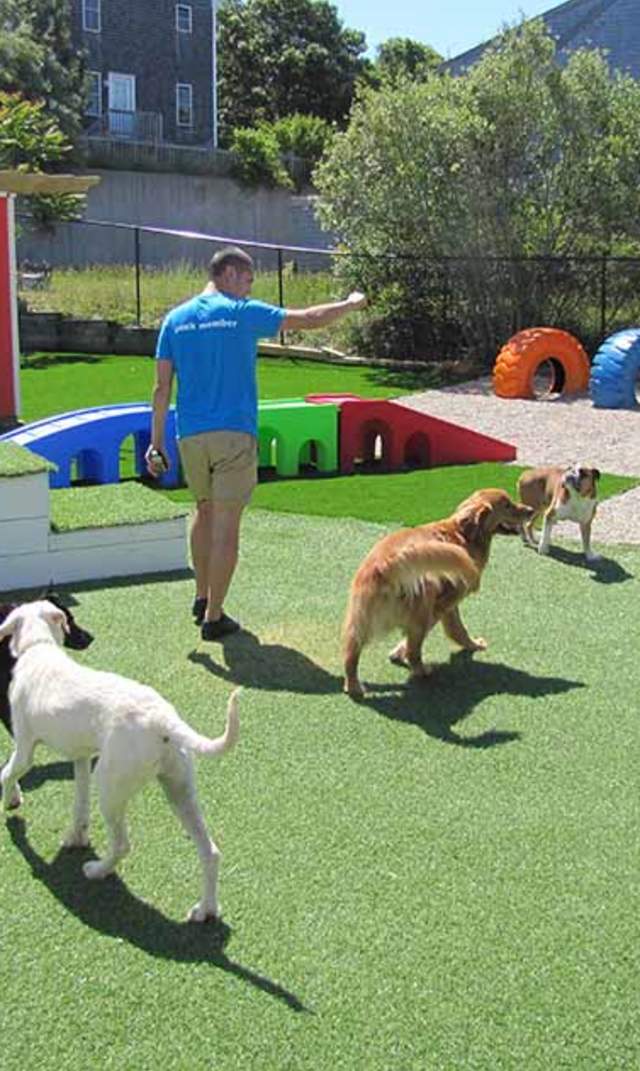 Ptown Pet Resort