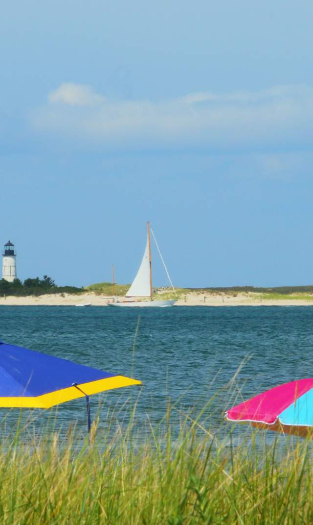 Sandy Neck Beach, Barnstable