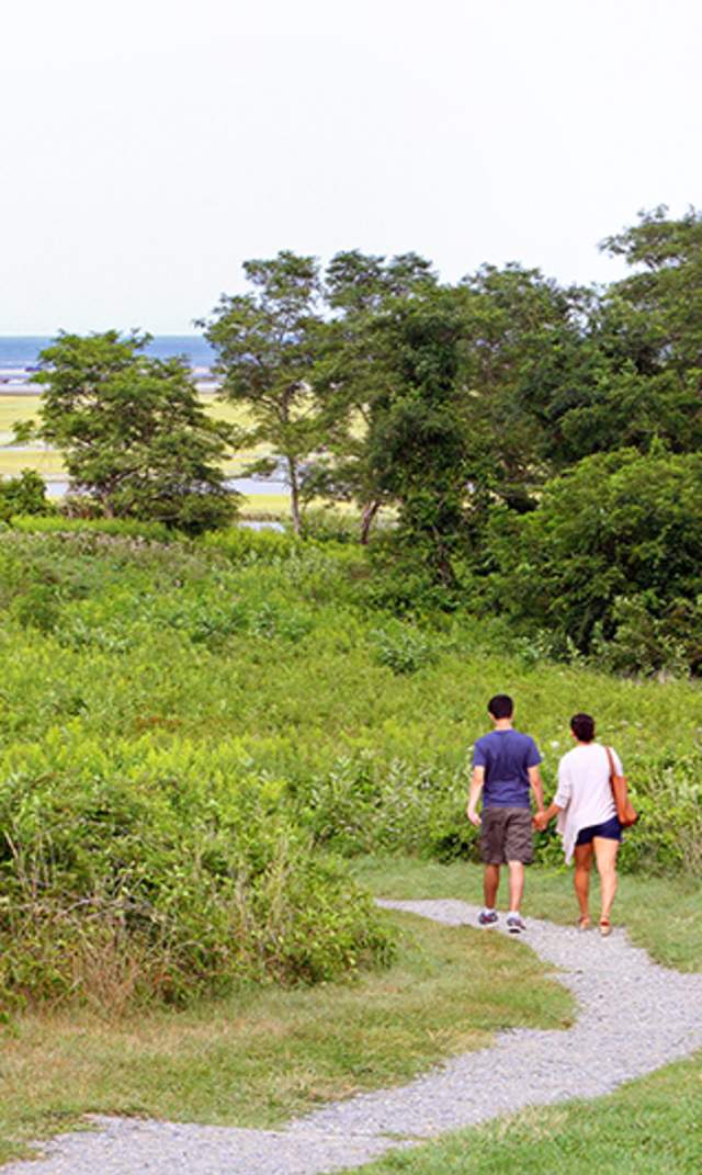 Walking trails