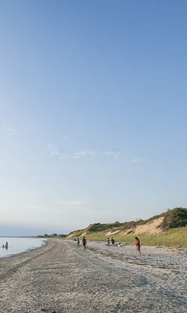 Wellfleet