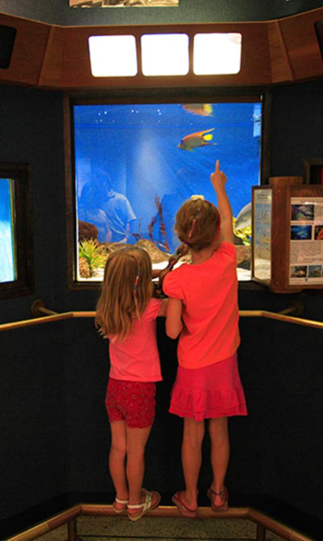 Woods Hole Aquarium