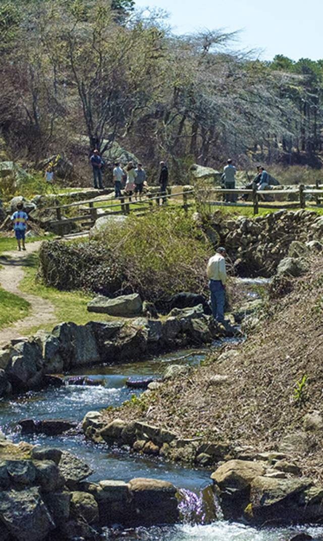 brewster herring run
